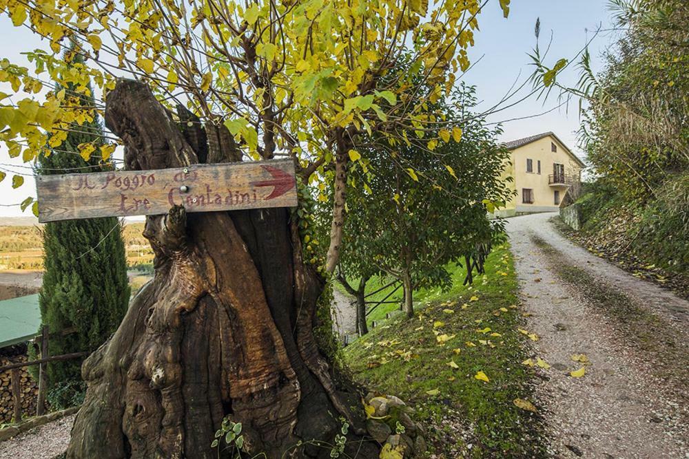 Il Poggio Dei Tre Contadini Villa Ponte Felcino Exterior photo
